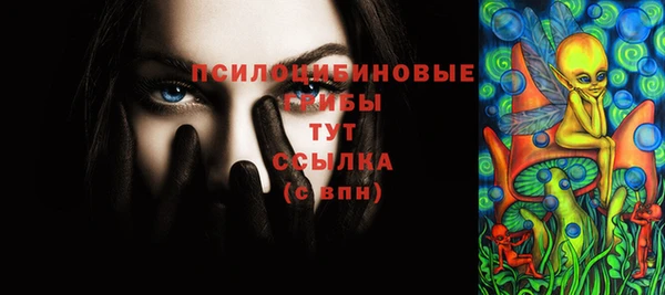 бутират Горняк