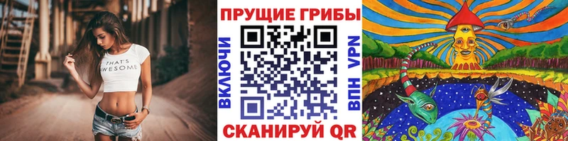 Псилоцибиновые грибы прущие грибы  Купить где  Анжеро-Судженск 
